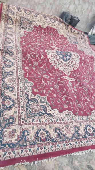 زوالي للبيع سعر الوحده 25
***********
***********
