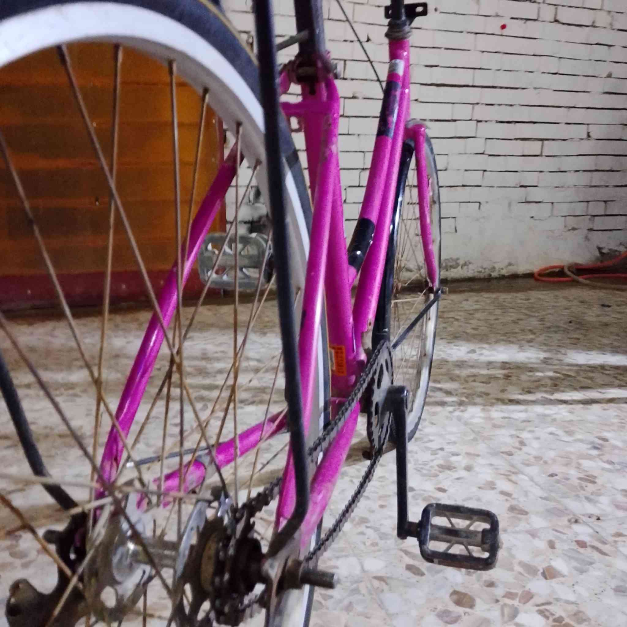 السلام عليكم باسكل للبيع فقط مكان شطره حي العسكري الباسكل كامل مكمل السعر 50 وبي مجال مو شراي لا تراسل


**إذا كنت صاحب هذا الإعلان وتريد حذفه لأي سبب، رجاءا أرسل رسالة إلى الدعم الفني**