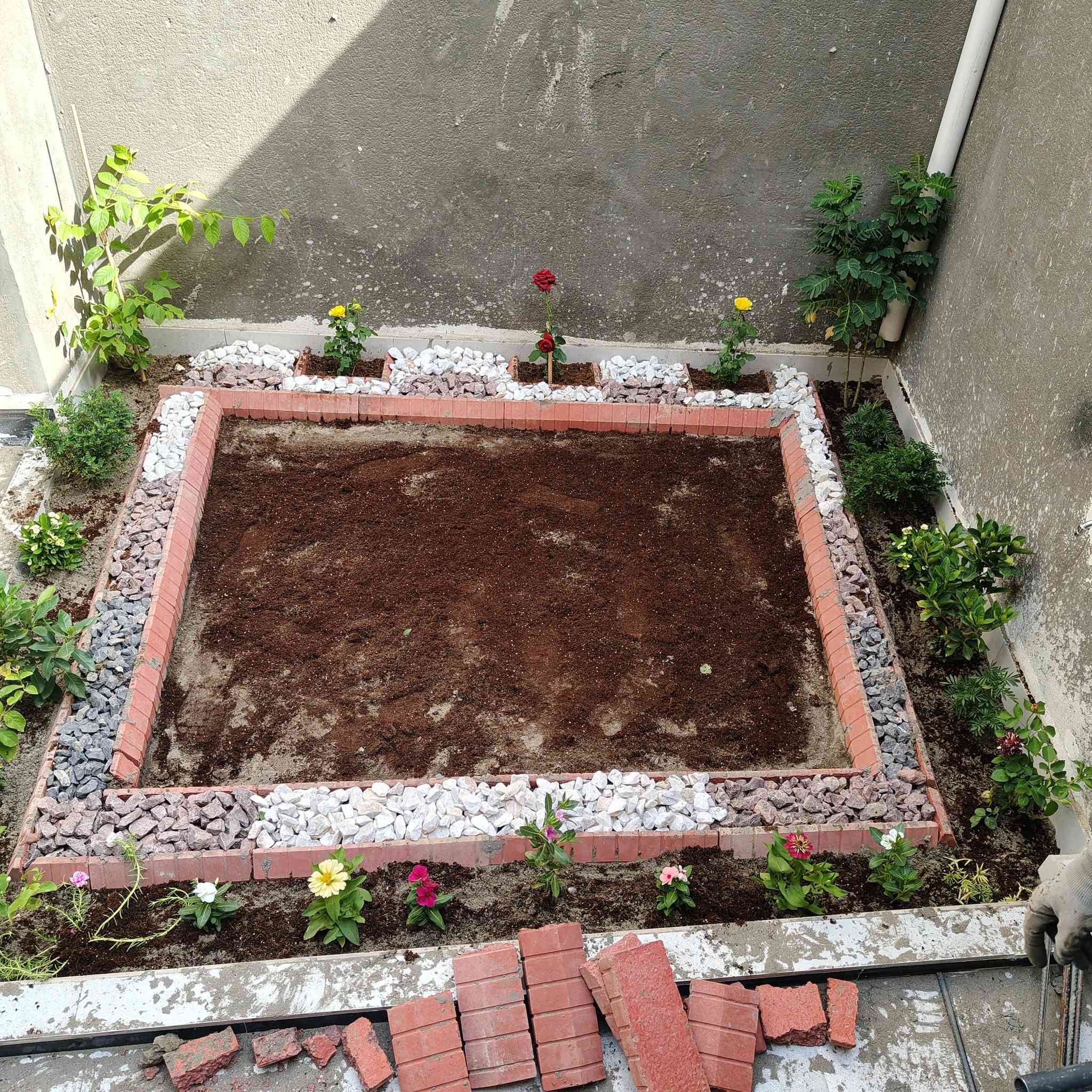 سلام عليكم
هذا شغلي في الناصريه متوفر كادر خاص مزراع وحدائق  تنظيف الحدائق وزراعتها قص الثيل.زراعه النخيل وتكريبه رش مبيدات فطريه ومعالجه الارضه  قلع الارض المالحه والقضاء ع الملوحه. امانه الله الشغل درجه اولى الشغل يرضي الله ويرضيك للاتصال ***********
