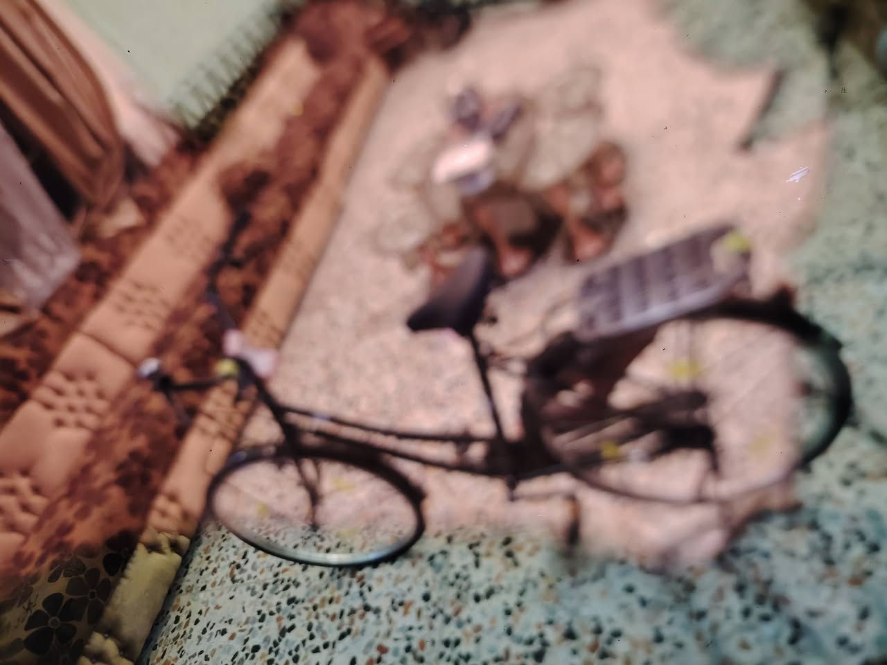 سلام عليكم بايسكل بناتي اسود للبيع القوسسعر اب150 وبي مجال اهواي غراض الي بي وياه تاخذهن المكان بغداد قرب القوس الرقم 7773023343


**إذا كنت صاحب هذا الإعلان وتريد حذفه لأي سبب، رجاءا أرسل رسالة إلى الدعم الفني**