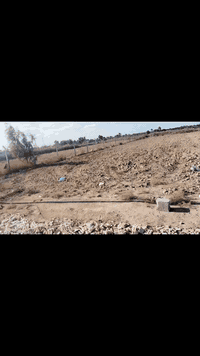 دونم للبيع ماء السقي بضهر الدونم والكهرباء بالباب قرية العوادل الاستفسار ***********
