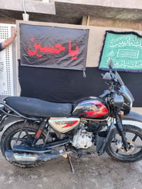 بوكسر • جبلي • لوحات