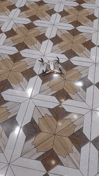 درون تعليمي العدد ٣ للبيع كلهن ماكو مفرد يوجد توصيل لكل المحافظات راسل...