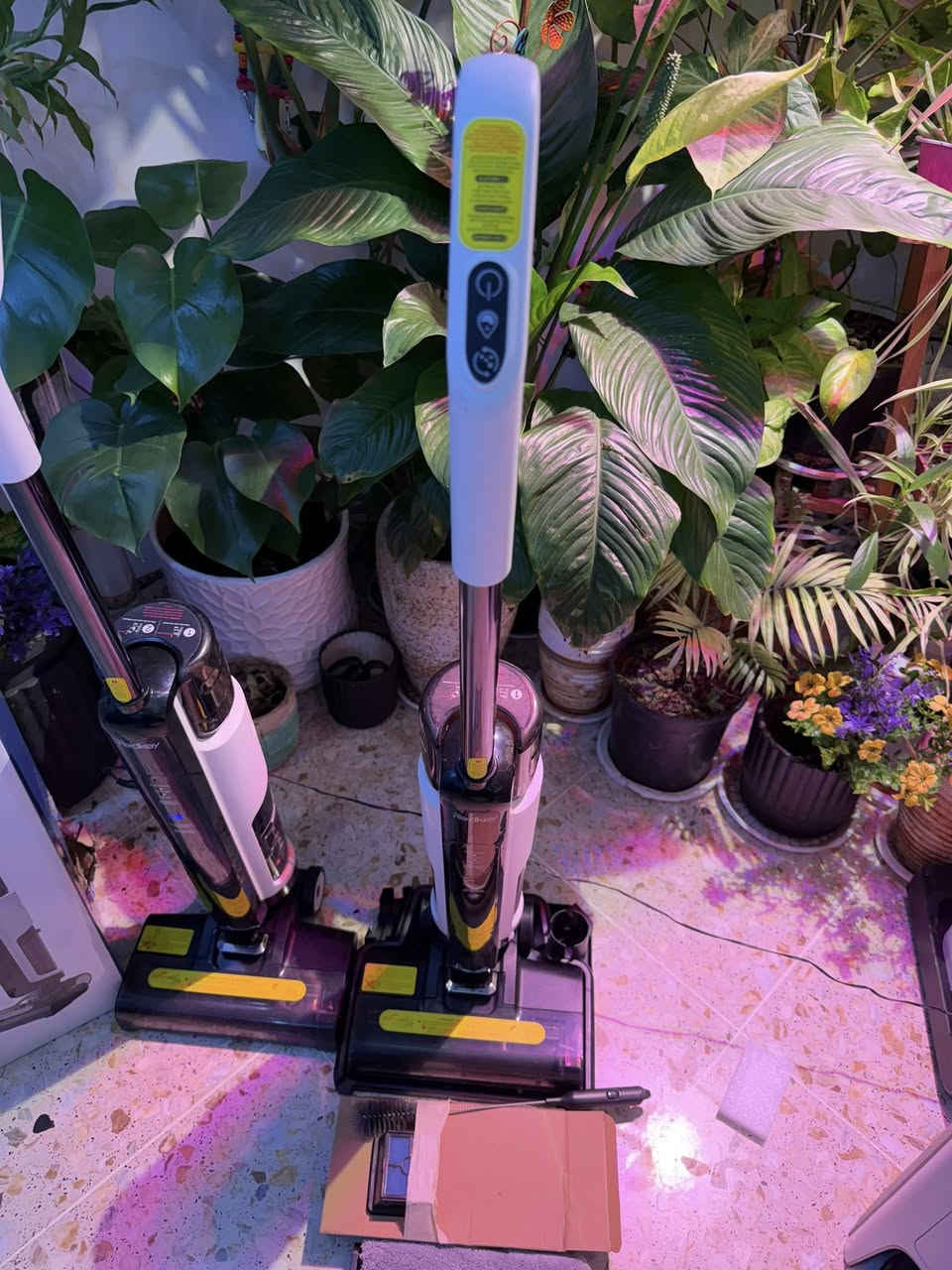 متوفر مكنسة Redkey W12 SE اللاسلكية للتنظيف الرطب والجاف. تجمع بين الكنس والمسح في خطوة واحدة، وتتميز بخفة الوزن (قرابة 3.8 كجم)، وتدعم ميزة التنظيف الذاتي للفرشاة، وتعمل ببطارية تكفي لتنظيف مساحات واسعة بشحنة واحدة.تتضمن هذه المكنسة الميزات التالية:تنظيف متعدد الوظائف: تتيح لك شفط الأتربة ومسح الأرضيات الصلبة وتجفيفها في آن واحد.التنظيف الذاتي: نظام آلي لغسل الفرشاة الدوارة بالماء دون الحاجة لتنظيفها يدوياً.تصميم مرن وخفيف: هيكل لاسلكي يسهل المناورة به للوصول إلى الزوايا


**إذا كنت صاحب هذا الإعلان وتريد حذفه لأي سبب، رجاءا أرسل رسالة إلى الدعم الفني**