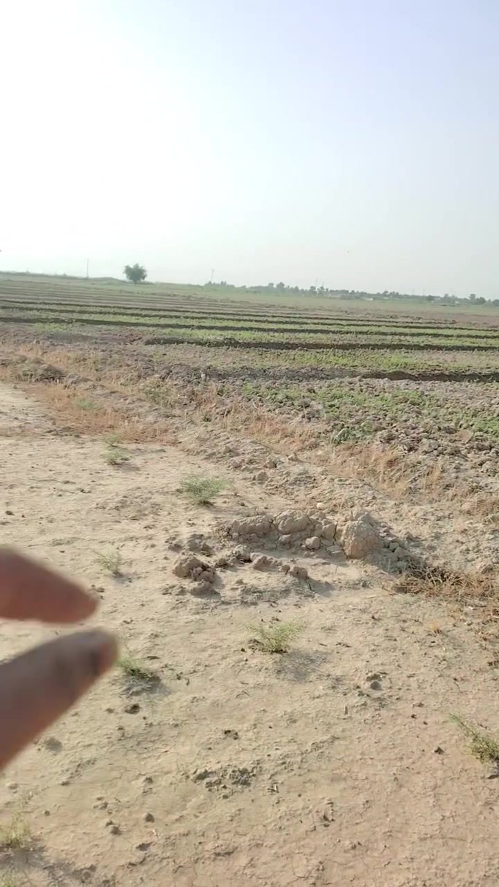 كاع زراعيه للبيع المساحه 3دونم اله ربع
واسط قضاء العزيزيه قرب مطعم عبدالله
***********
