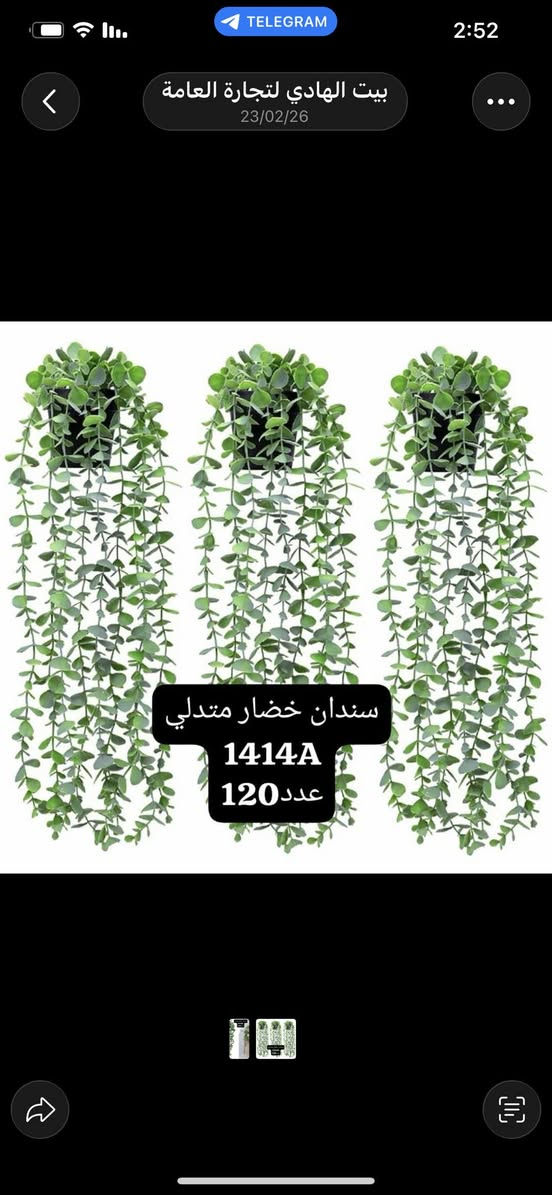 سندانه متدلي خضار درزن 26 الف


**إذا كنت صاحب هذا الإعلان وتريد حذفه لأي سبب، رجاءا أرسل رسالة إلى الدعم الفني**