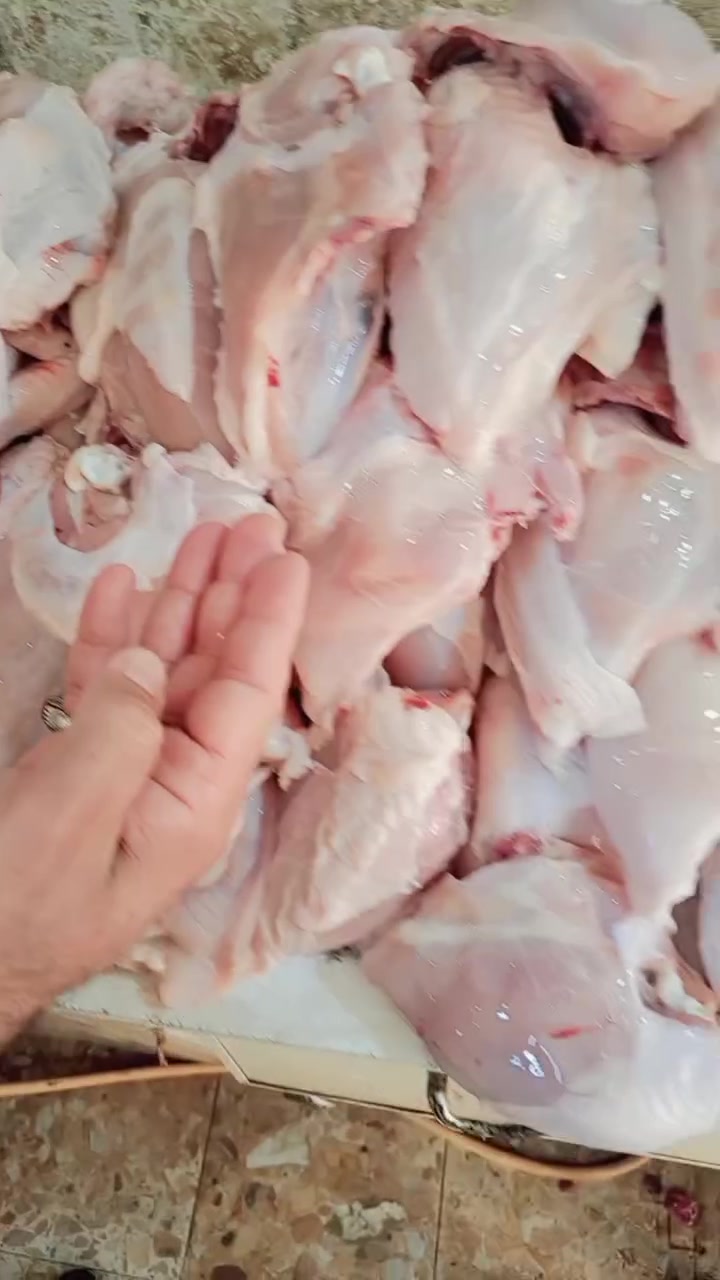 ***********/تواصل أو مراسله الصفحه
اليوم دجاج ذبح أمانة الله و الرسول ✅
كيلو افخاد بسعر 5الاف
كيلو صدر بسعر 5الاف
كيلو اجنحة بسعر 5الاف
كيلو رقبه بسعر 3الاف
كيلو حواصل بسعر 3ونص
كيلو كبد صافي بسعر 5الاف
يوجد خدمه توصيل داخل الحمزة
العنوان الحمزة الشرقي /سوق النسوان مقابيل حسينية سيد حمود
