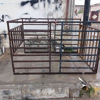 جنج مال ستوته للبيع لسعر 40 (((((07807161522