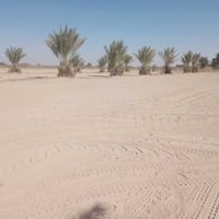 بقريت الناطور • ٢-٢٣دونم • قرب المدرسة