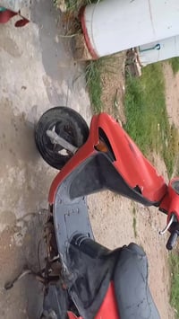 فراشه • فحل • السياحي