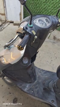 خوان ثعلب رنبه جديده لبيع او مراوس الرقم 07812147040حي جهاد