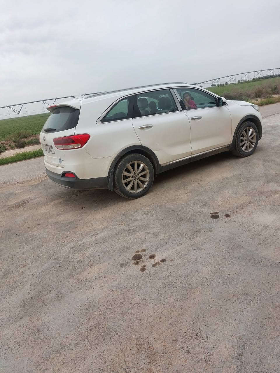 سورنتو موديل 2015شكل 2016 فول مواصفات بنوراما مكينه 3ونص 7راكب ثلاثة قطع تبريد رقم بغداد دولي انكليزي سنوية  2027 السعر 195 وبيه مجال بسيط مكان ديالى بعقوبه تقاطع القدس مايشتري لا يكسر بحلال العالم  
***********         ***********
