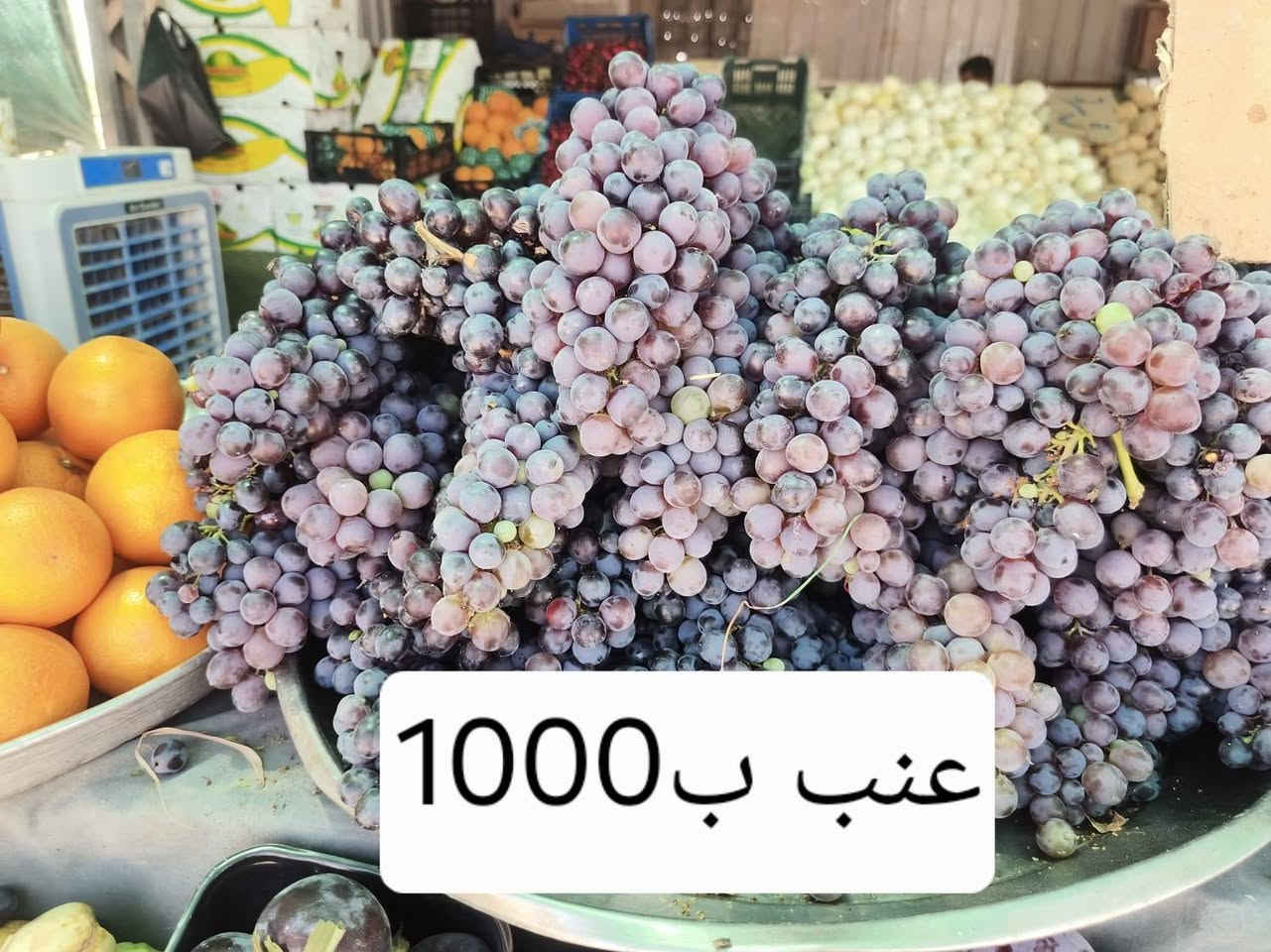 بسم الله زبائنا الكرام تشكيلة درجة اولى واسعار مناسبه ضروري تكمل الصور...علوة الريان ..مدخل الديوم بمكان السيطرة القديمة


**إذا كنت صاحب هذا الإعلان وتريد حذفه لأي سبب، رجاءا أرسل رسالة إلى الدعم الفني**