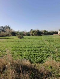 منطقة الداحره • دونم • بيت ٢٢٥م