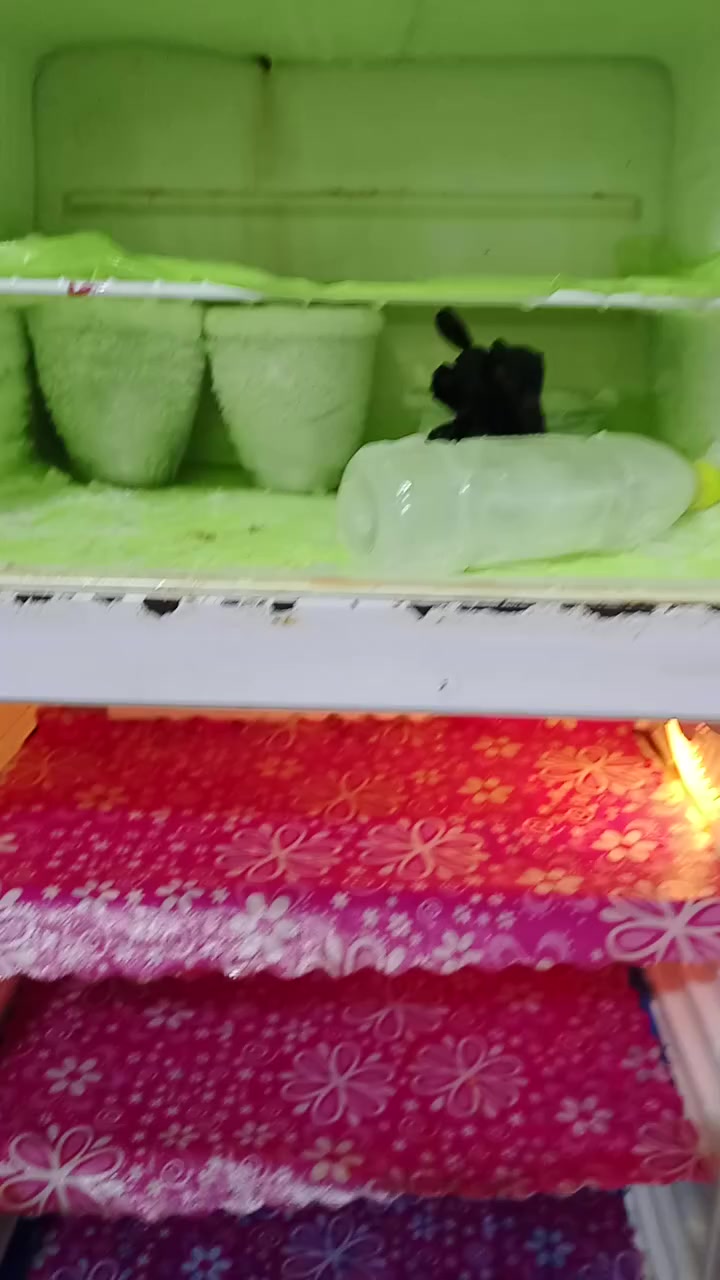 ثلاجه فستل 24قدم مال بيت تجميد فول  مثل ماتشوف بالفيديو مكاني بغداد المعامل. السعر 150الستفسار ***********
