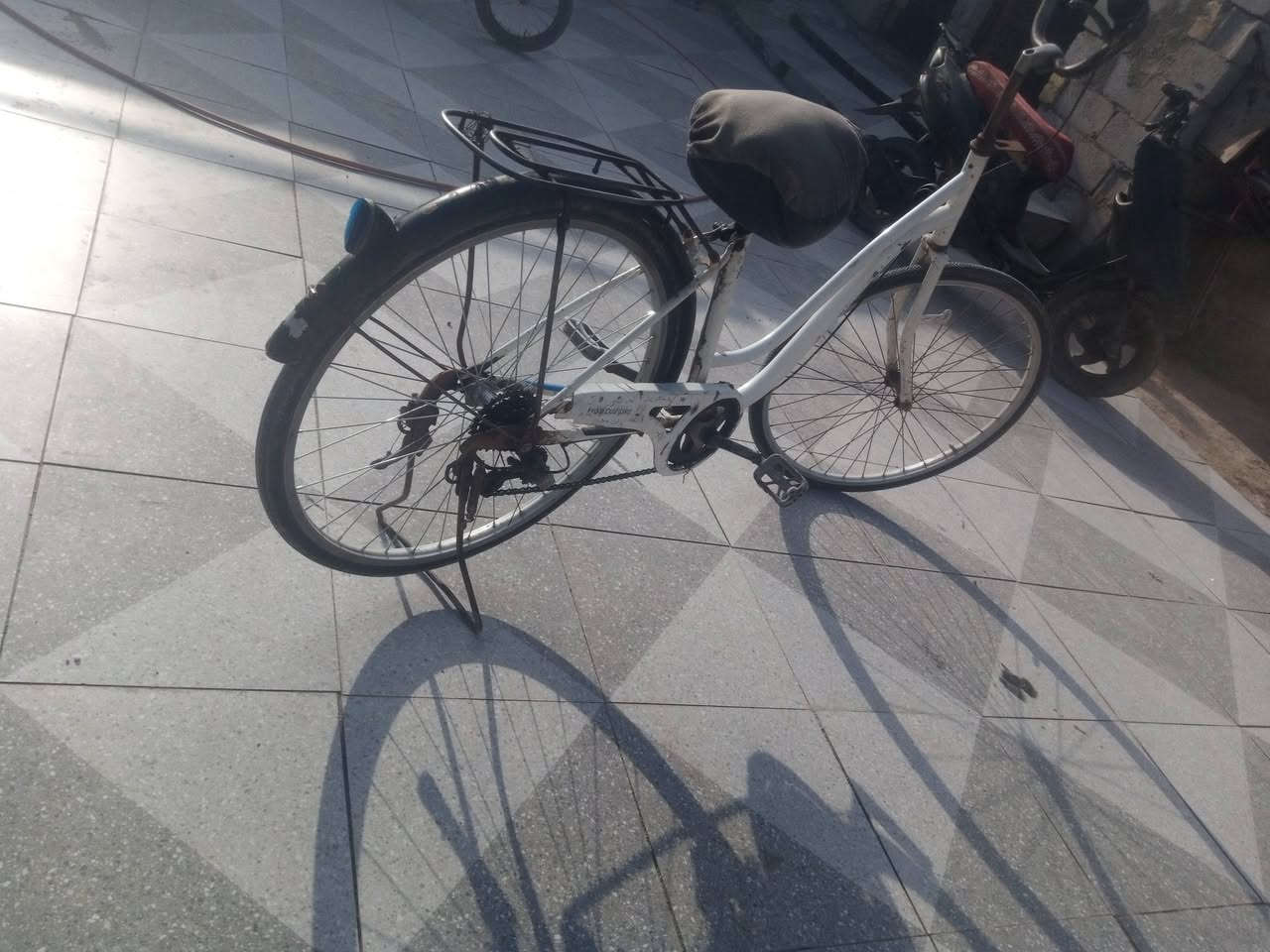 سلام عليكم باسكل البيع 50 مكان سوق الشيوخ***********
