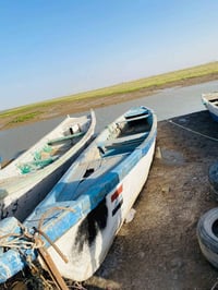 بلم • ١٦ ذراع • خور الزبير خويسات