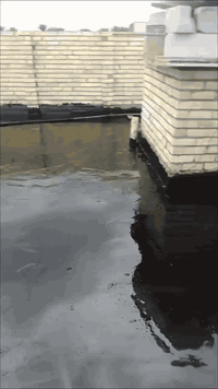 ابو علي • درجة أولى • حي العباس