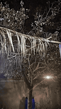 دراجة شحن • X900 • البصرة أبو الخصيب