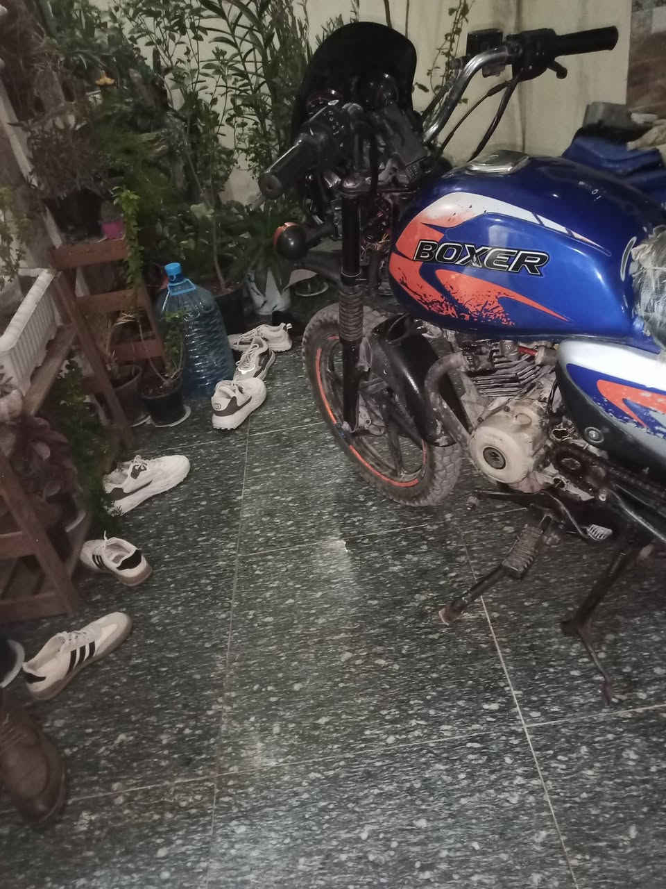 سلام عليكم بوكسر موديل 22شغاله الدراجه كامله اشاير لايت سلف ناقصه كتف شحن الدراجه كامله مابيهه اوراق اكفلكياها عشاير وحلال وحرام السعر 600قابل للمراوس عنواني بغداد زعفرانيه رقم الهاتف ‏‪***********‬‏
