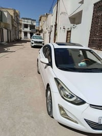 النترا • ٢٠١٥ • كربلاء