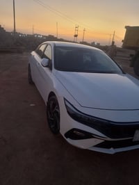 البيع النترة 2024 مداور ثاني يوم رقم الهاتف 07708048393