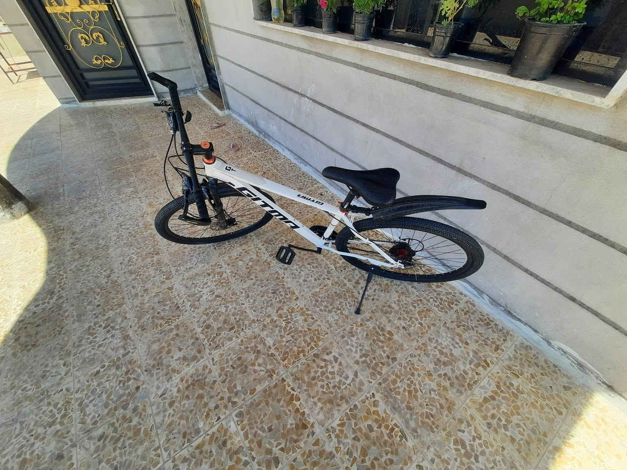 بايسكل للبيع موصل برطله أيسر سعر 155 بيه مجل خاص


**إذا كنت صاحب هذا الإعلان وتريد حذفه لأي سبب، رجاءا أرسل رسالة إلى الدعم الفني**