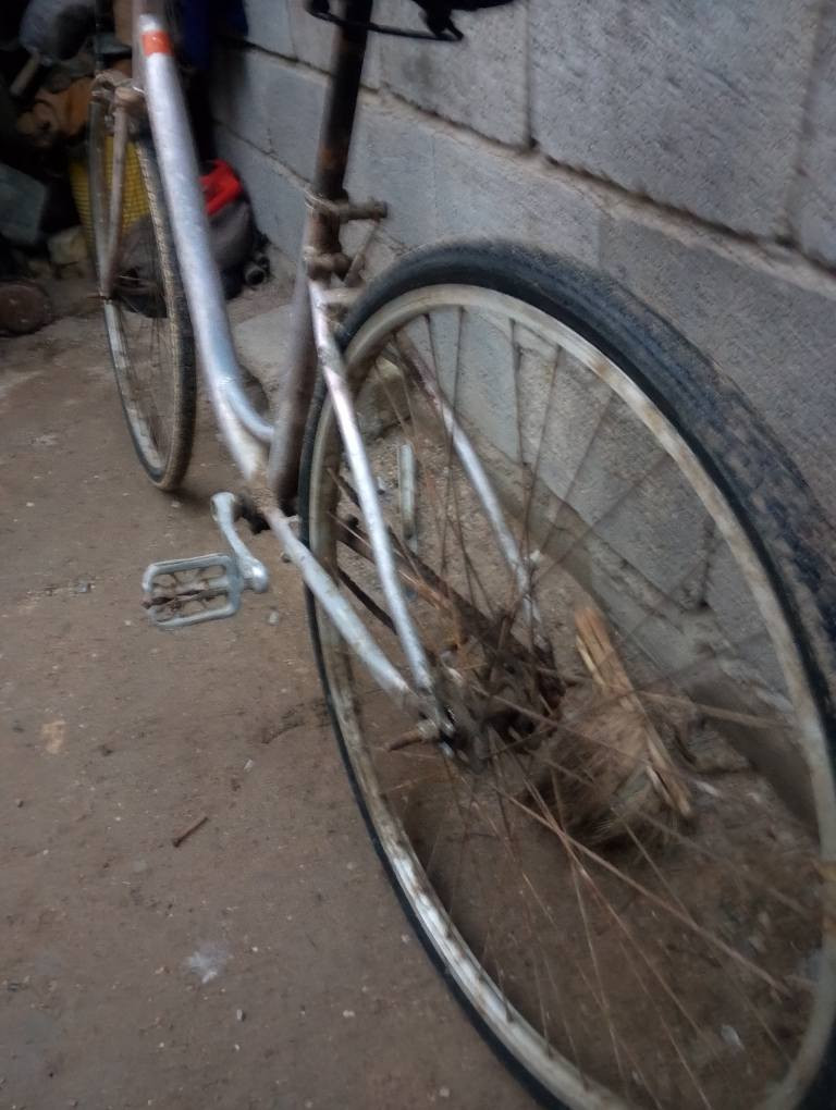 بيسكل البيع مديل 15 مكاني البصره كرمه علي سعر 30 او بي مجال الطيبين البصرة, العراق


**إذا كنت صاحب هذا الإعلان وتريد حذفه لأي سبب، رجاءا أرسل رسالة إلى الدعم الفني**