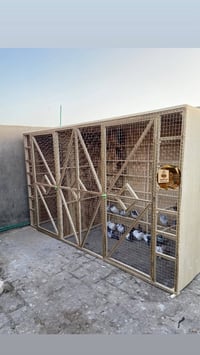 برج طيور • النجف • مقاس ١٧٥×٣٠٠×١٢٥