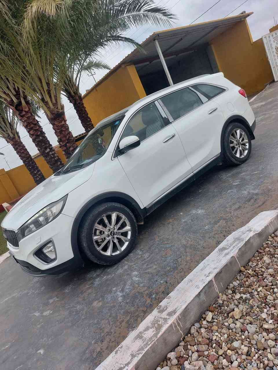 195
2015
***********
***********
