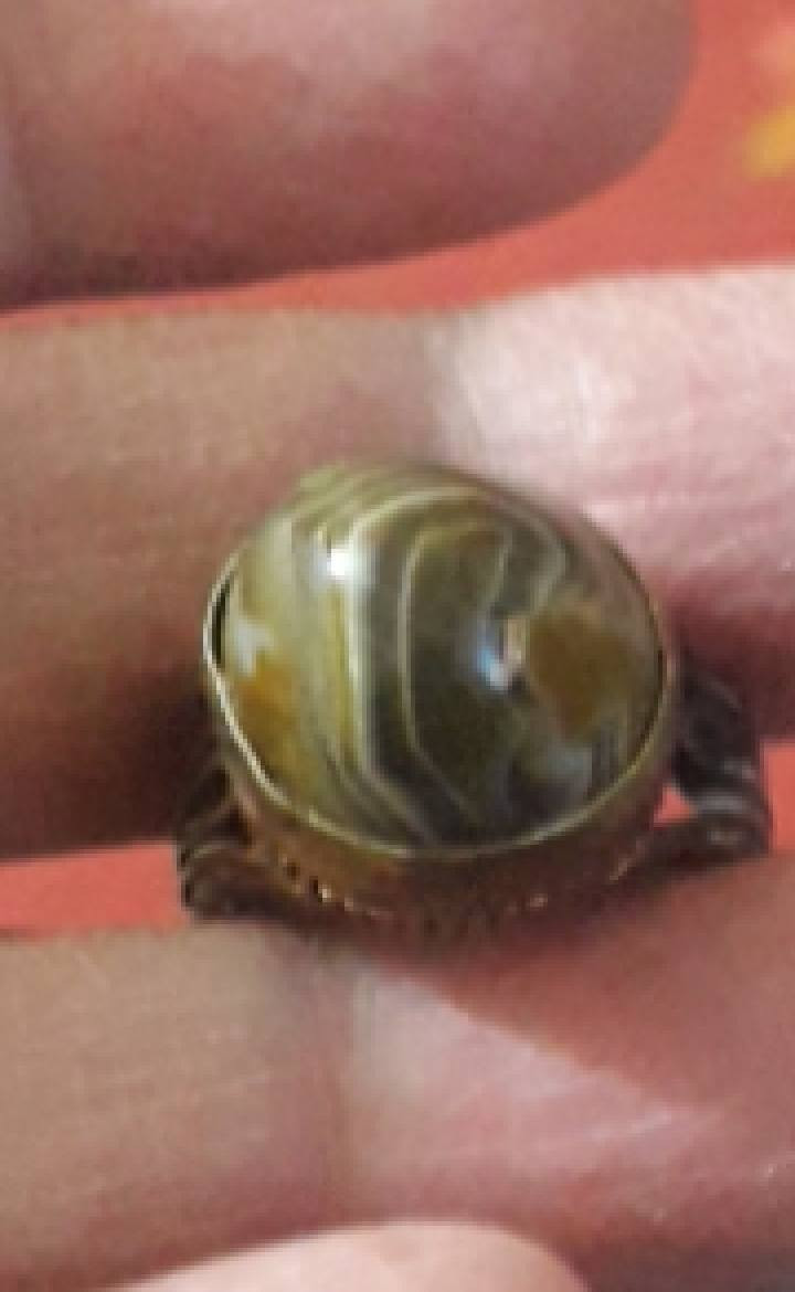 داودي مصورمجزع
المحبس موفضه


**إذا كنت صاحب هذا الإعلان وتريد حذفه لأي سبب، رجاءا أرسل رسالة إلى الدعم الفني**