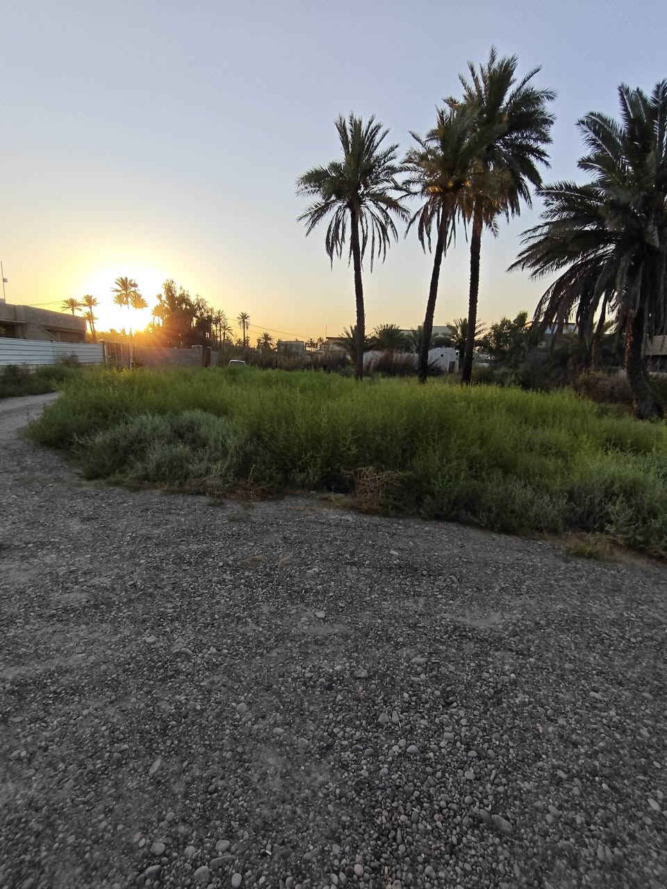 🏡 قطعة أرض زراعي سند 25 للبيع تبعد عن  السريع الجديد دقيقتين فقط (حوالي 500 متر). ✅– هور رجب قرب جامع ابو بكر الصديق

📐 المساحة: 200 م²
📏 الأبعاد: الطول 15 × العرض 13ونص متر

✅ منطقة مخدومة بالماء والكهرباء.كاملة مكملة 
✅ تبعد عن  السريع الجديد دقيقتين فقط (حوالي 500 متر).
✅ موقع مناسب للسكن والاستثمار العقاري 

للاستفسار ومعرفة السعر والتفاصيل، يرجى التواصل على الخاص أو الاتصال على الرقم:
📞 ***********

السعر مناسب جداً
