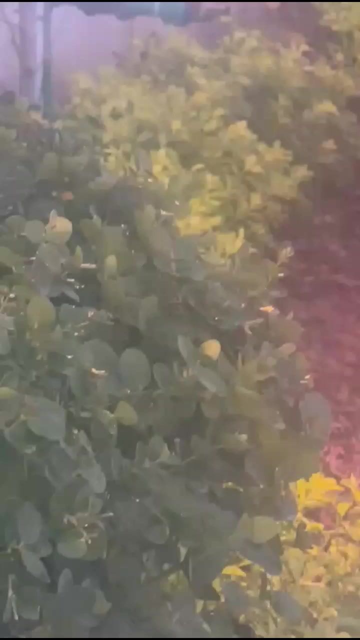 سلام عليكم يوجد لدينا مزارع اليجار في البوعيثة بسعر ***********مناسب موثقة بتطبيق اجرلي ا التواصل وتصلح المناسبات مي حار بارد
