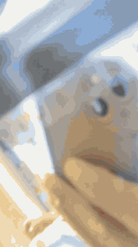 السلام عليكم. ستوته جمره كربلائي للبيع موديل 2025 وكيل جديده زيرو رقم وسنويه مداور ثاني يوم السعر 3000 مليون مكاني نجف رقمي ***********
