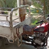 ستوتة ام الطير • محرك ممتاز • بعقوبة زاغنية