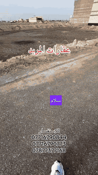 البصرة • ياسين خريبط • ٢٠٠م