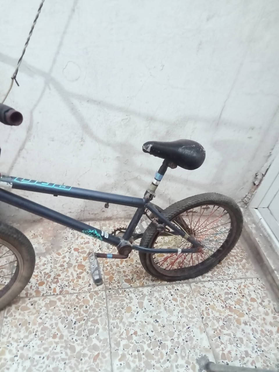 متاح اثنينهن ب 40


**إذا كنت صاحب هذا الإعلان وتريد حذفه لأي سبب، رجاءا أرسل رسالة إلى الدعم الفني**