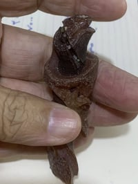 عرك • حجري