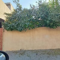 دار للبيع كركوك • بيت للبيع كركوك • عقار للبيع كركوك • منزل للبيع حي ا...