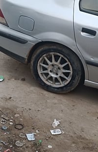 مراوس بويل • عادي