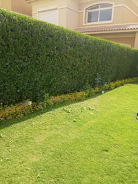 حدائق اربيل • تصميم حدائق • أدامة شهرية