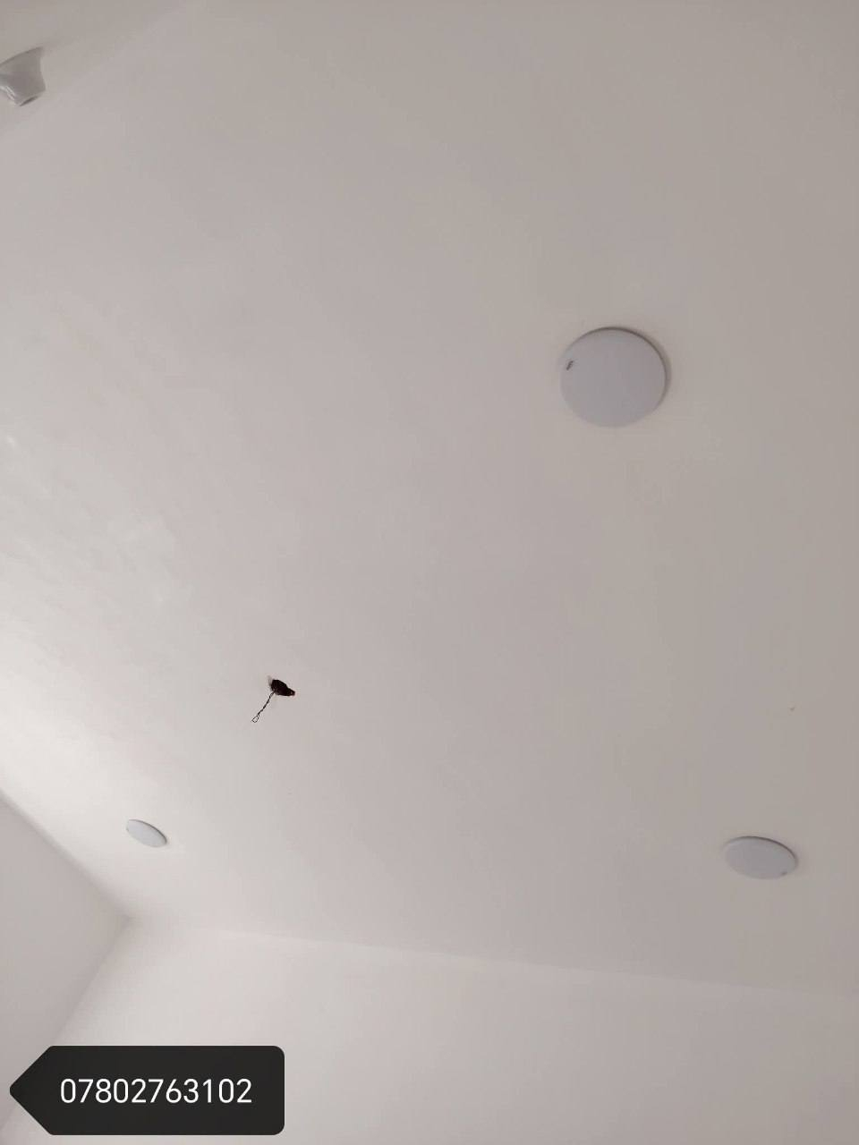 السـلام عليـكم
👷 لباخ متـفـرغ
⚒️ نعمـل بـ'المتر والمقطوعه واليوميه 
📐 نعمل بأحدث الطرق المتميزه
📏 سمـنت + جراره + سقل + مساطر تصفير جدران
🌓 جـص + بـورگ
🛠️ تقشيـر جدران وإعادة ترميمه
⚪ نثـر واجهات وأسيجه
🔨 دقـه . التزام . تنفيـذ
📞 للتواصل ***********
