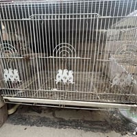 متاح خانه نضيفه استعمال قليل ترهم لكافه الطيور (توصيل ماعندي)  بغداد ح...