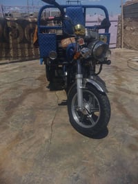 ستوتة فحل عالي شاخون سعر مليون 450 اوراق كامله  رقم الهاتف  0771533458...