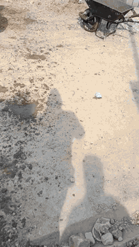 السلام عليكم يوجد لدينا بيوت على الشارع الرئيسي شارع سيد عوده  العنوان بغداد مدينة الصدر الحميدية شارع سيد الاتصال ***********
