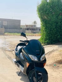 فورزة • اوراق كاملة • حييل