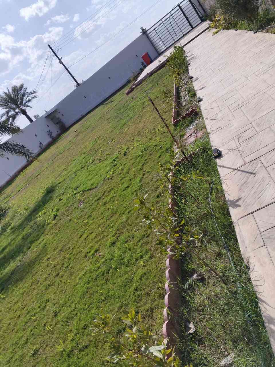 السلام عليكم مزرعه للايجار الدوره البوعيثه موثقه تطبيق اجرلي الاستفسار هذا الرقم ***********
