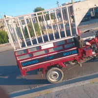 ستوته • موديل ٢٣ • مرقمه