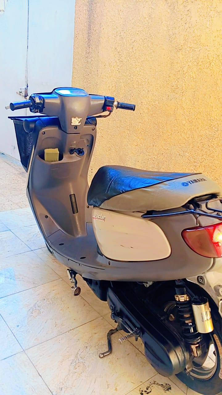 للبيع ,👇


**إذا كنت صاحب هذا الإعلان وتريد حذفه لأي سبب، رجاءا أرسل رسالة إلى الدعم الفني**