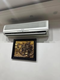 سبلت جنرال • طنين • السماوه